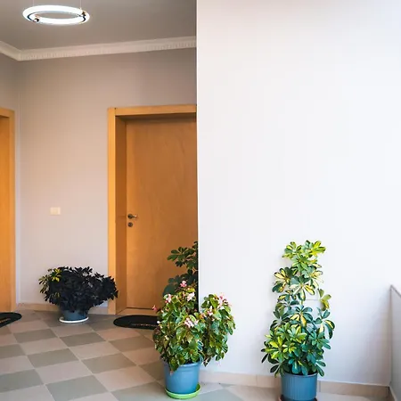 Mandi * Тирана